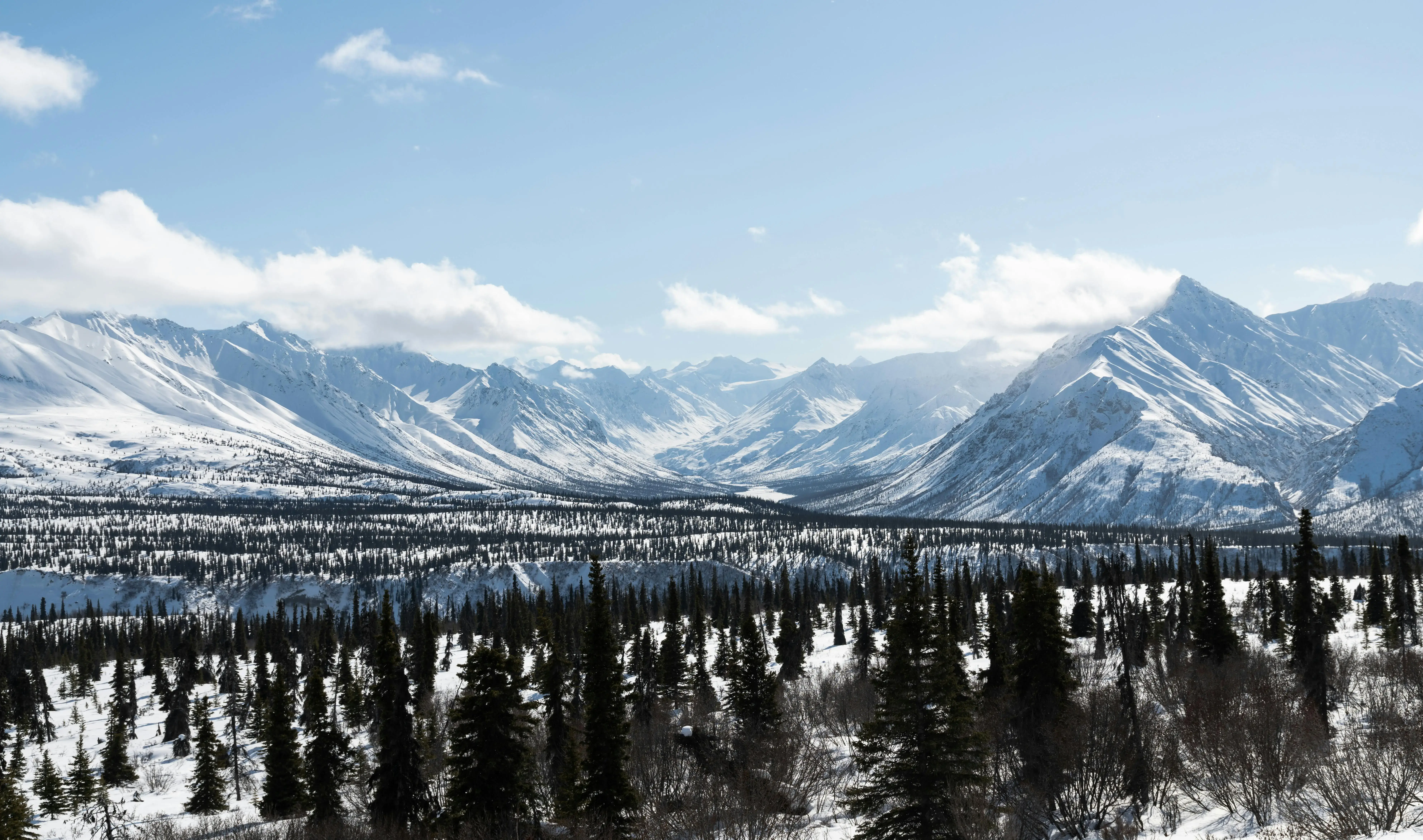 Yukon Landscape 1